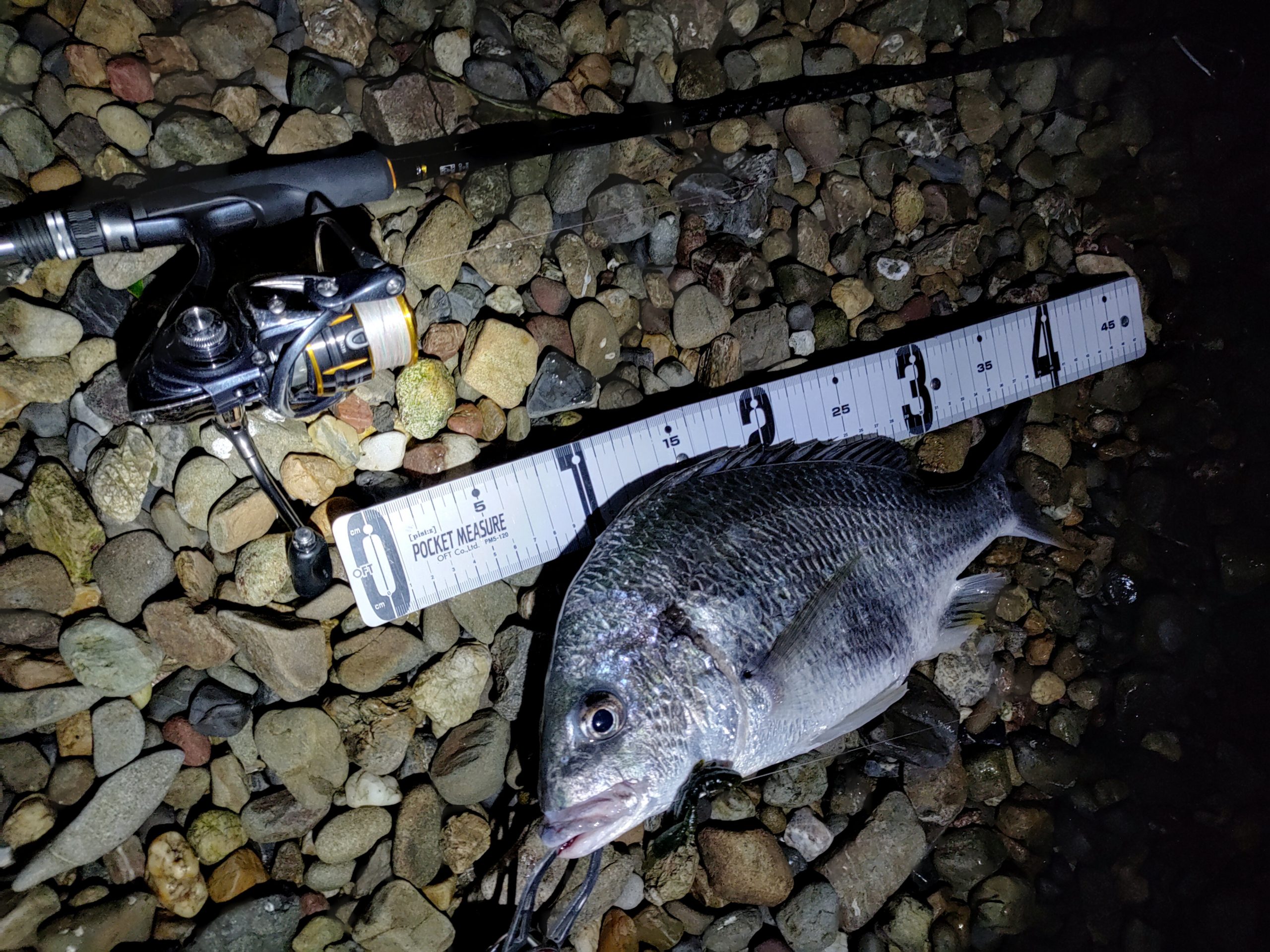 奥浜名湖でマゴチ開幕 釣りメンぱぱの釣りブログ